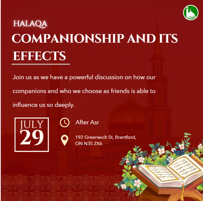 Companionship and its Effects