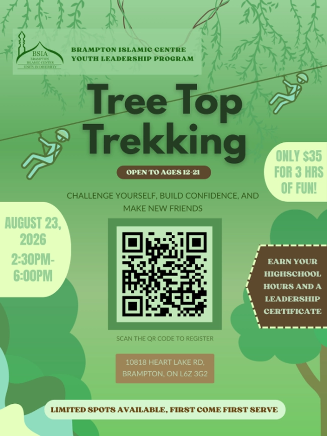 Tree Top Trekking