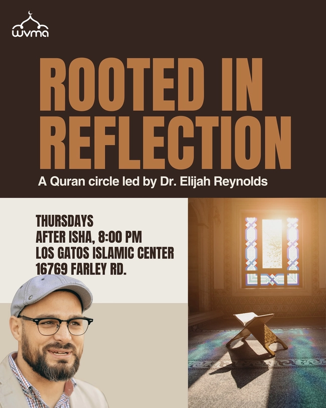  Rooted in Reflection