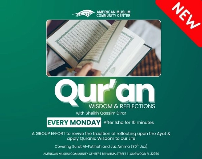  Qur'an Wisdom & Reflections 