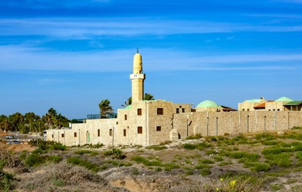 Sidna Ali Mosque