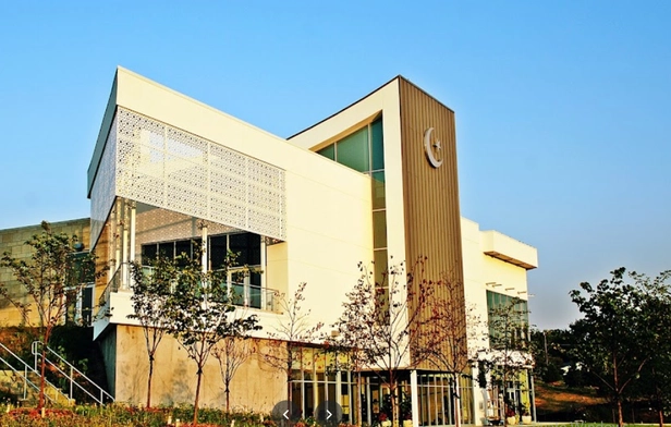 American Muslim Institute